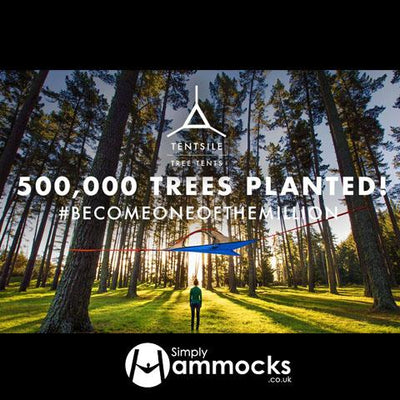 You helped plant half a million trees! Thank you!